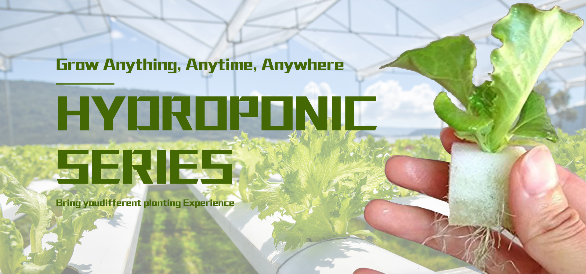 hydroponic series