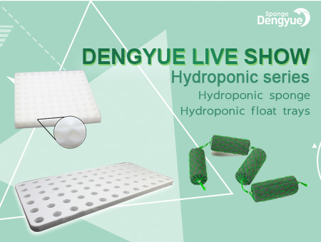 Hydroponic Dengyue Live Show