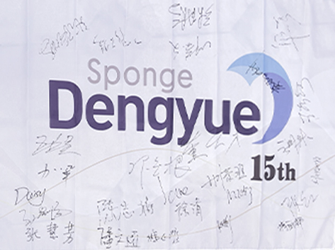 DENGYUE SPONGE 15th anniversary celebration