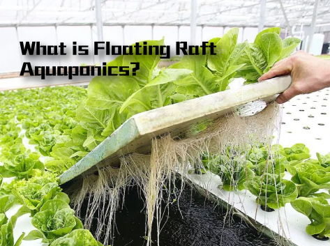 What is floating raft?