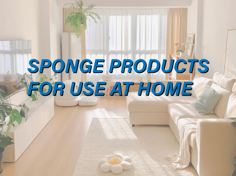 Sponge products for use at home