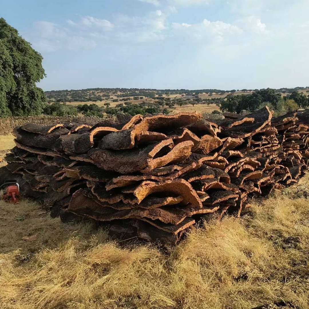 cork manufacture.jpg